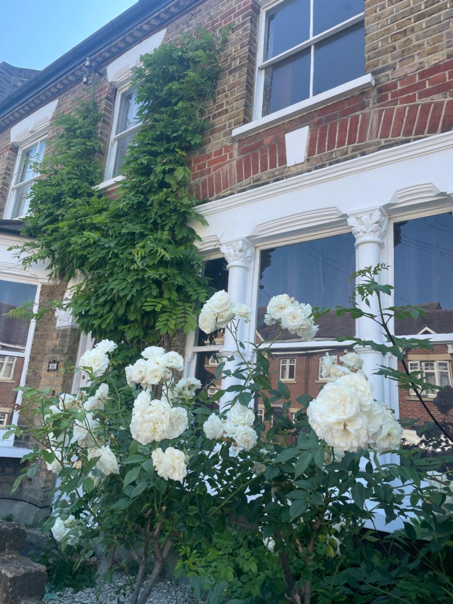 פלמסטד Traditional English 4 Bedroom Home In Greenwich מראה חיצוני תמונה